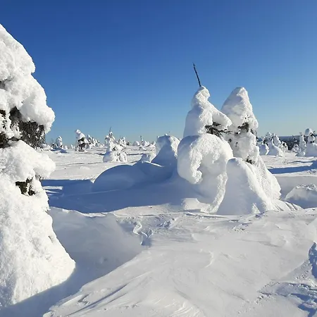 Susitupa 5 Lejlighed