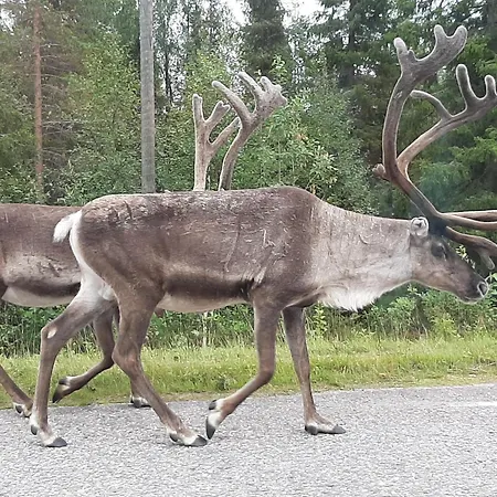 Susitupa 5 Lejlighed *