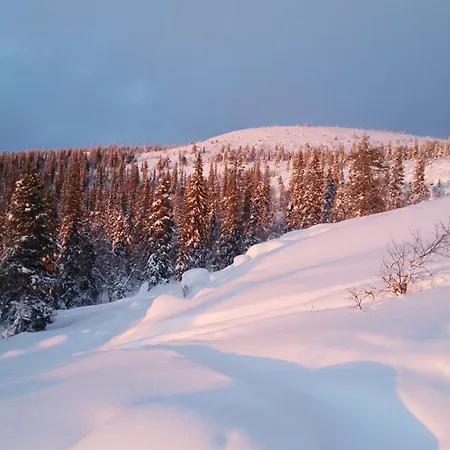 شقة Susitupa 5 سالا