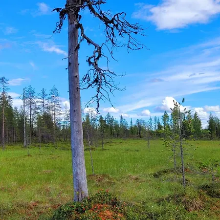 公寓 Susitupa 5 萨拉