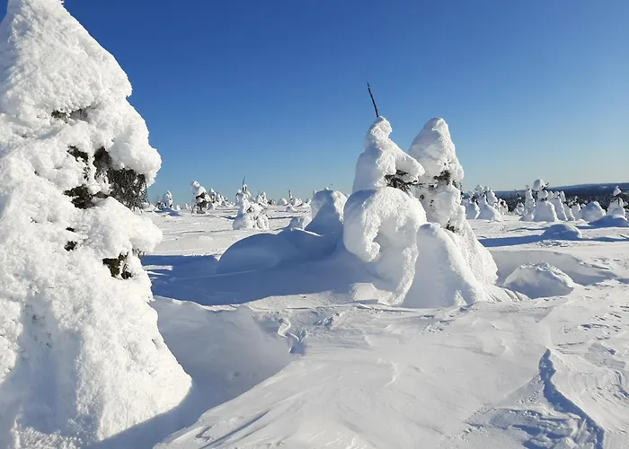 Susitupa 5 Lägenhet